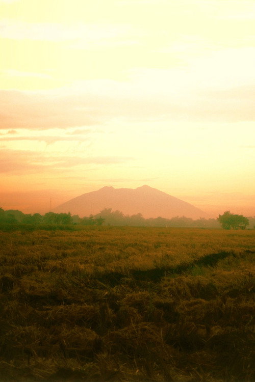 Movie poster for Irik ng Lunggati (2024)