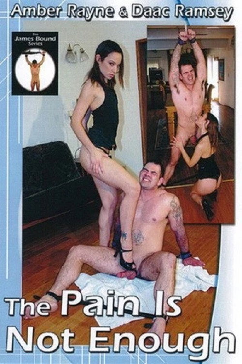 Movie poster for The Pain Is Not Enough (2010)