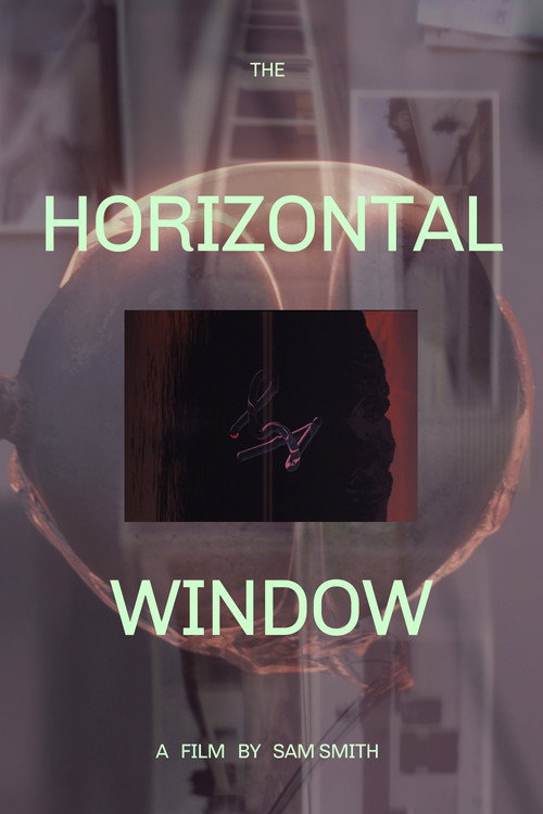 Movie poster for The Horizontal Window (2016)