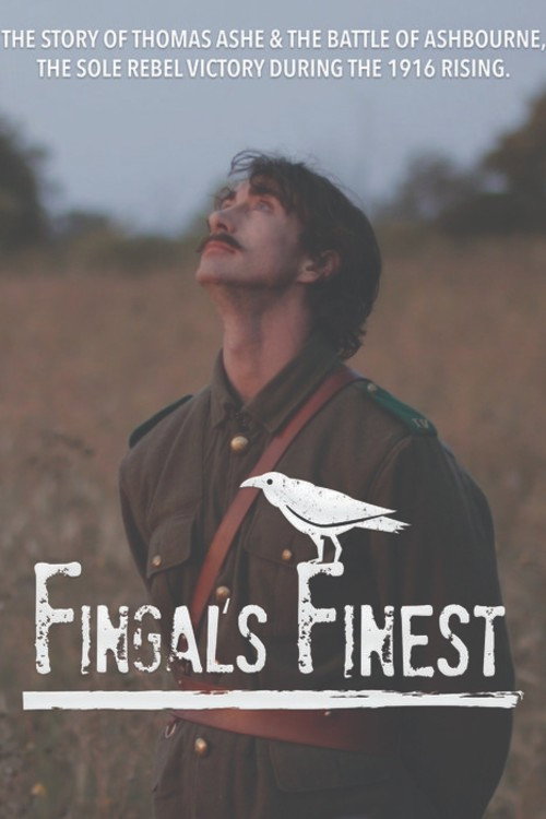 Movie poster for Fingal's Finest (2016)