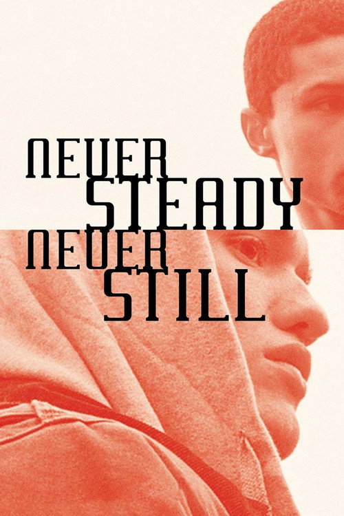 Movie poster for Never Steady, Never Still (2015)