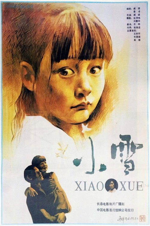 Movie poster for 小雪 (1991)