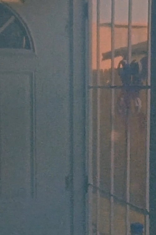 Movie poster for 5_January (2021)