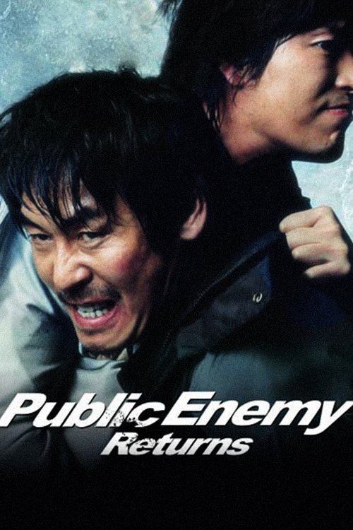 Movie poster for Public Enemy Returns (2008)