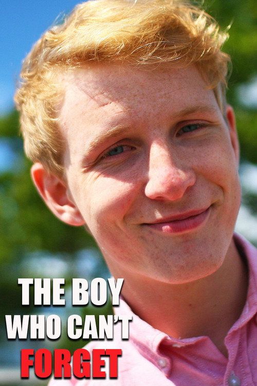 Movie poster for The Boy Who Can't Forget (2012)
