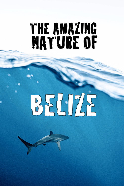 Movie poster for The Amazing Nature of Belize (2022)