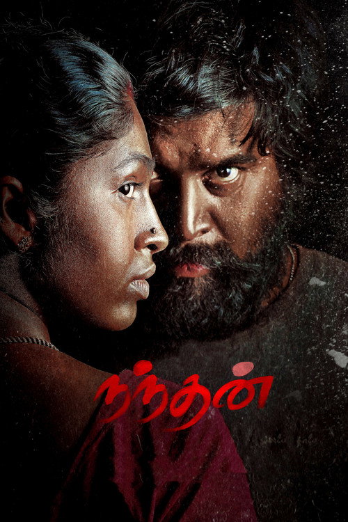 Movie poster for Nandhan (2024)
