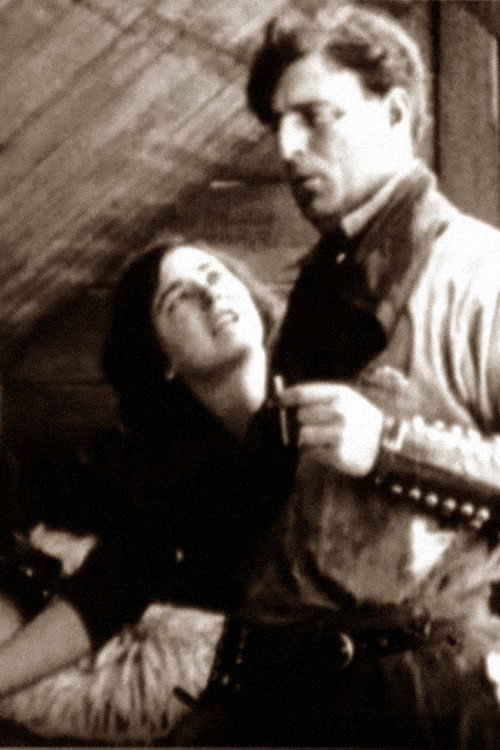 Movie poster for Broncho Billy's Adventure (1911)