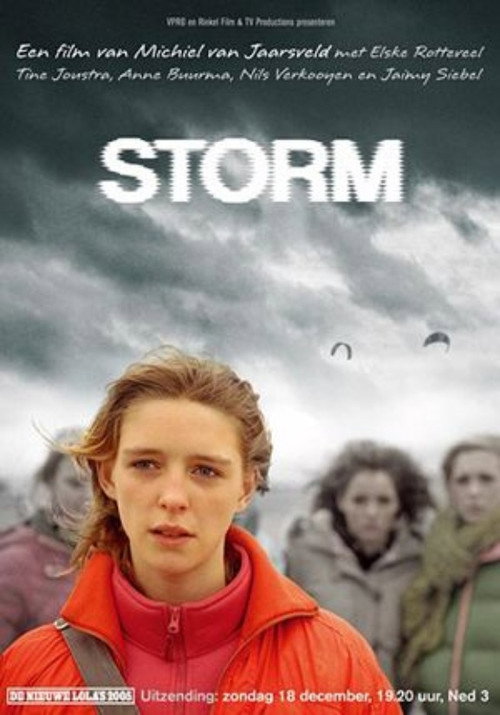 Movie poster for Storm (2005)