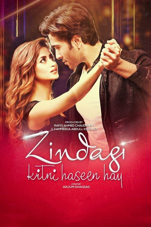 Movie poster for Zindagi Kitni Haseen Hay (2016)