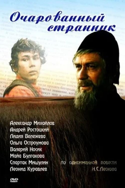 Movie poster for The Enchanted Wanderer (1990)