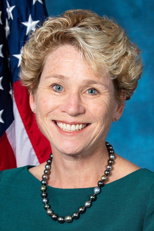 Photo of Chrissy Houlahan, Acting