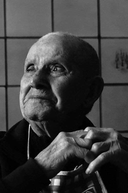 Photo of Lido Falciani, Acting