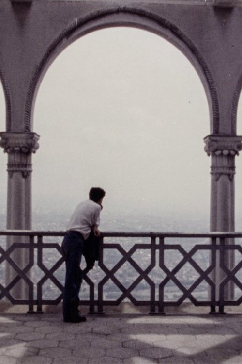 Movie poster for During the Many Years (1992)