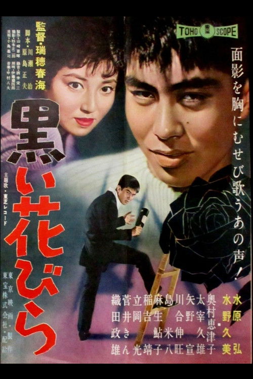 Movie poster for Black Flower Petal (1960)