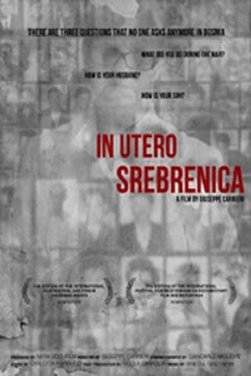 Movie poster for In utero Srebrenica (2013)