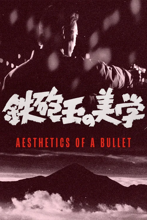 Movie poster for Aesthetics of a Bullet (1973)
