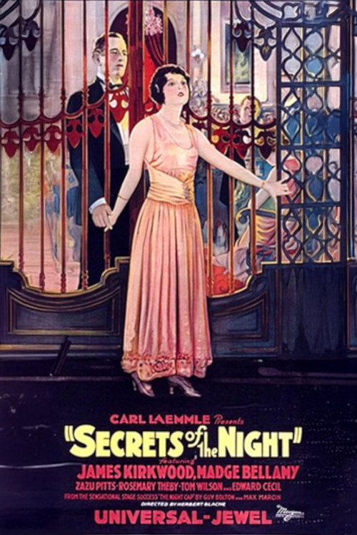 Movie poster for Secrets of the Night (1924)