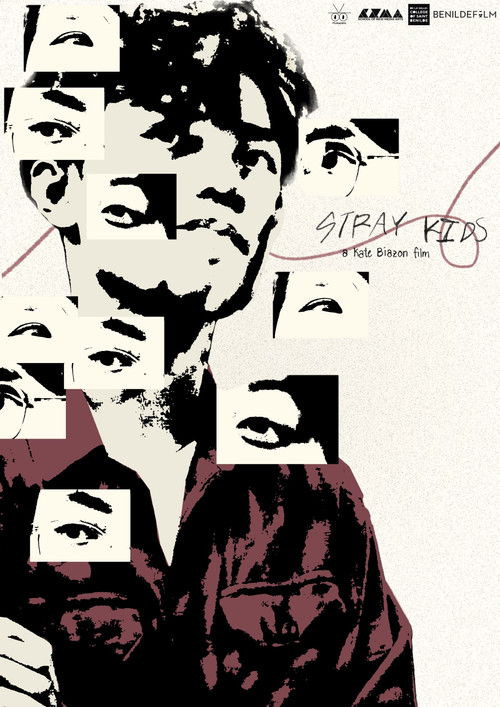 Movie poster for Stray Kids (2025)