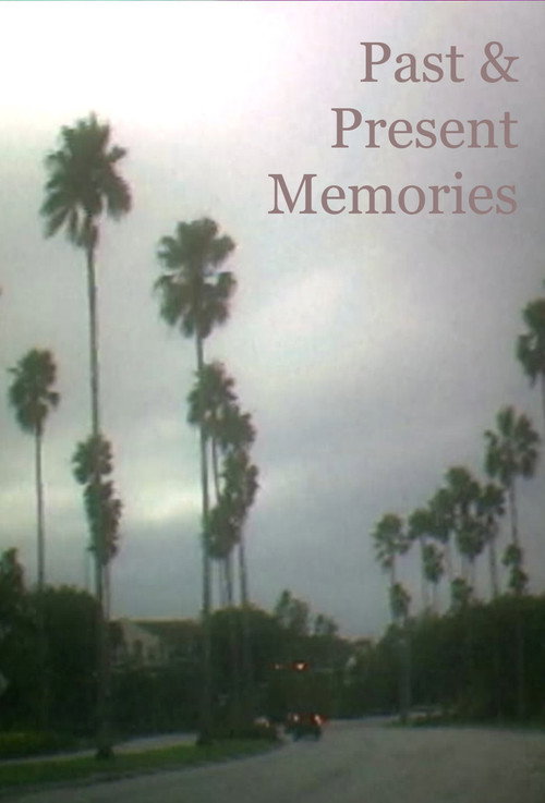 Movie poster for Past & Present Memories (2026)