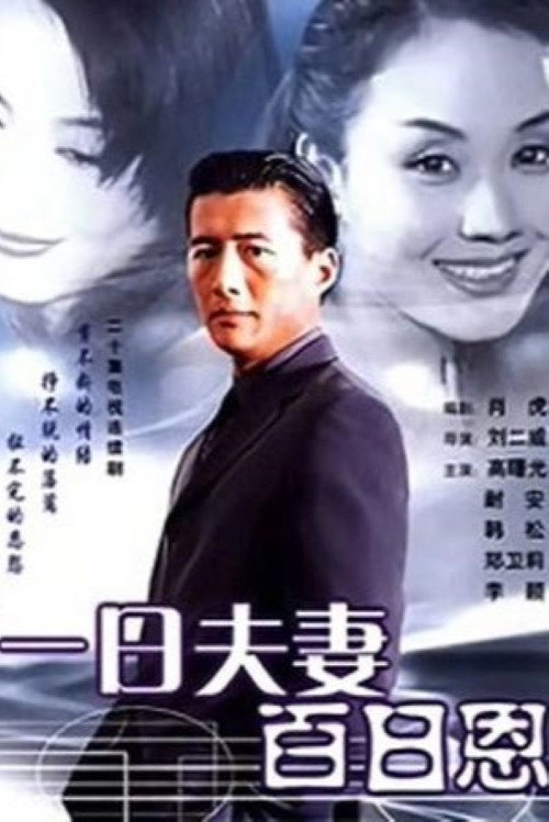 Series poster for 一日夫妻百日恩 (1998)