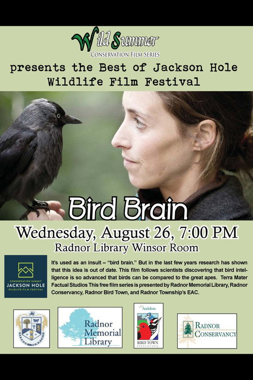 Movie poster for Bird Brain (2012)