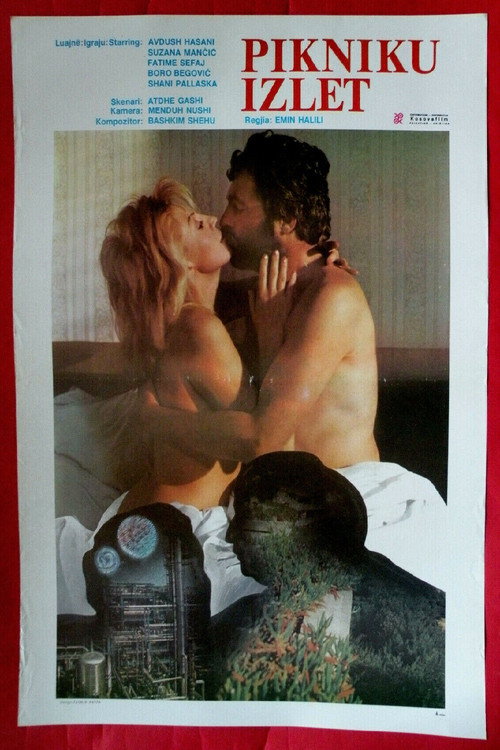 Movie poster for The Picnic (1986)
