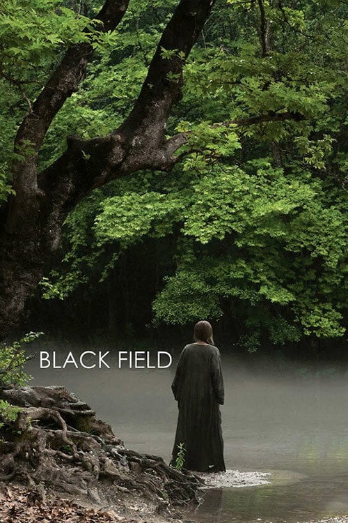 Movie poster for Black Field (2009)