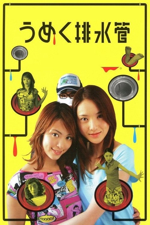 Movie poster for The Groaning Drain (2004)