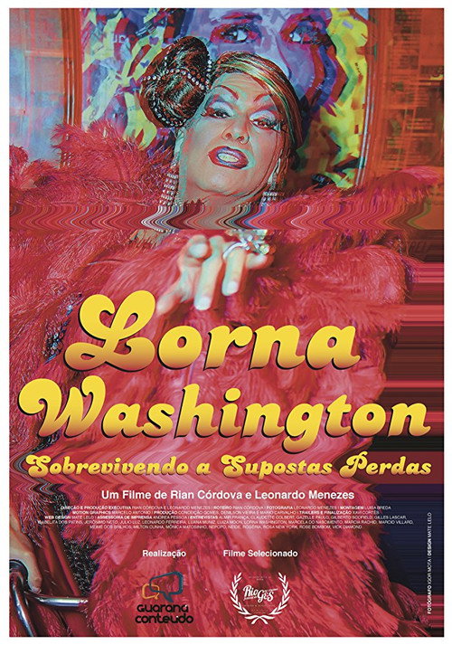 Movie poster for Lorna Washington: Surviving Probable Losses (2016)