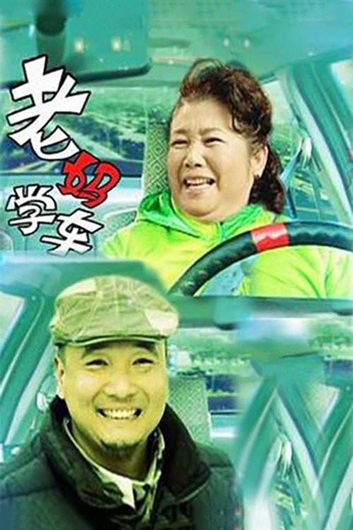 Movie poster for 老妈学车 (2005)