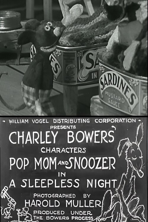 Movie poster for A Sleepless Night (1940)