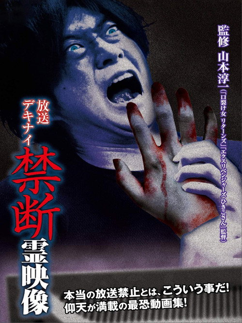 Movie poster for Broadcast Dekinai Forbidden Spirit Video (2014)
