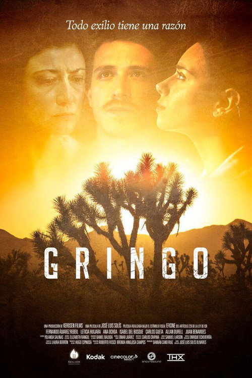 Movie poster for Gringo (2015)