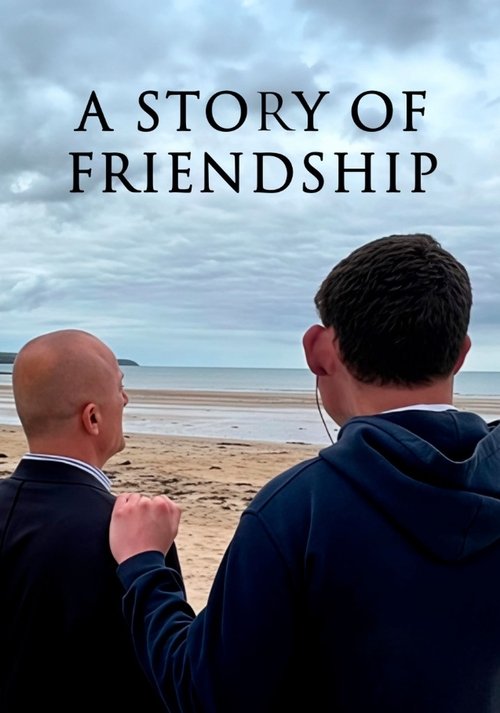 Movie poster for A Story of Friendship (2025)