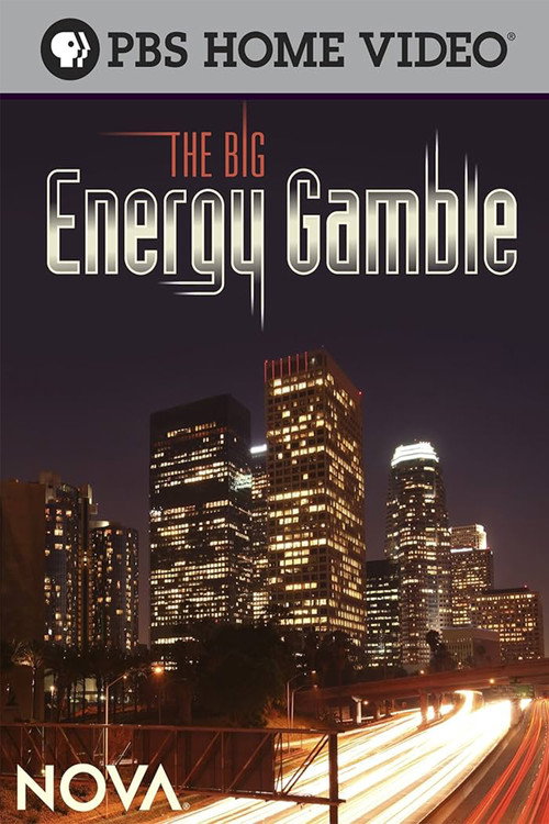 Movie poster for The Big Energy Gamble (2009)