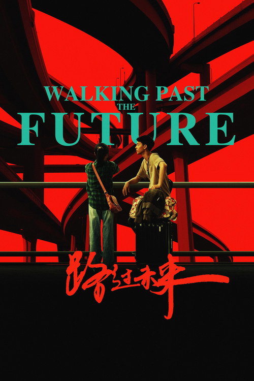 Movie poster for Walking Past the Future (2017)