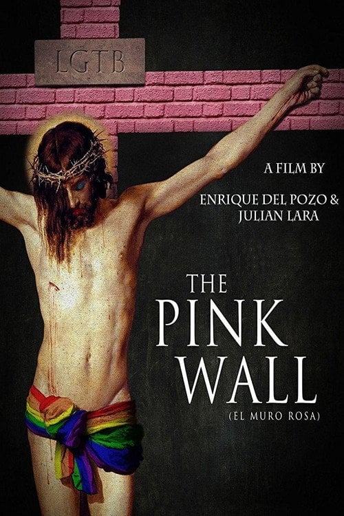 Movie poster for The Pink Wall (2011)