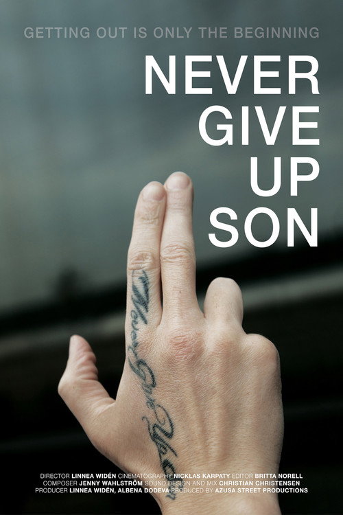 Movie poster for Never Give up Son (2014)