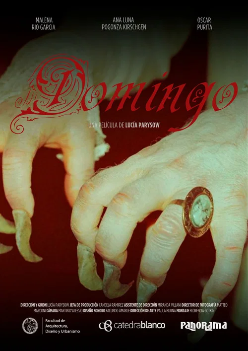 Movie poster for Domingo (2024)