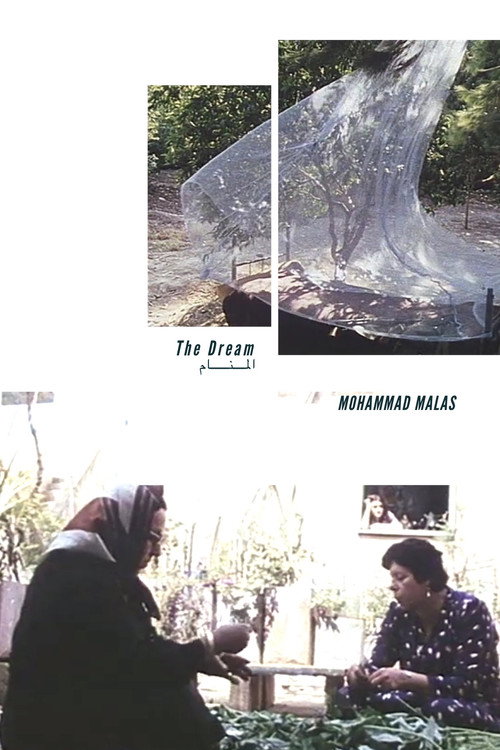 Movie poster for The Dream (1987)