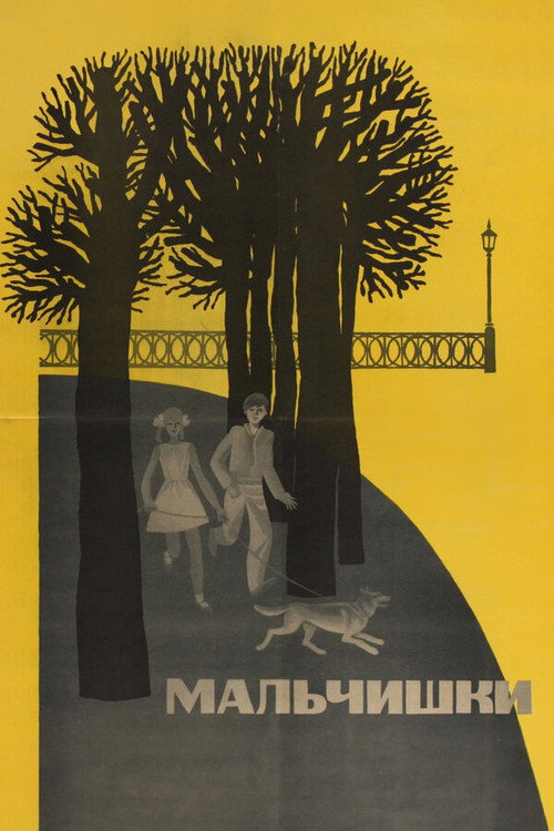Movie poster for Boys (1969)