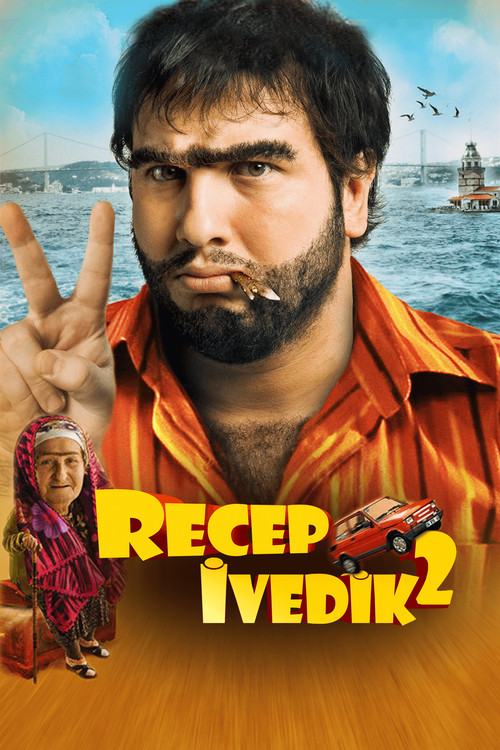 Movie poster for Recep Ivedik 2 (2009)