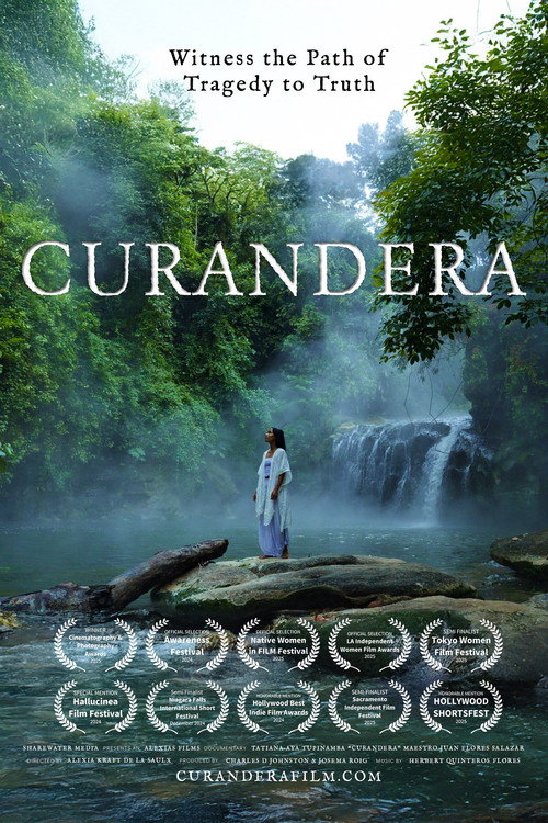 Movie poster for Curandera (2025)