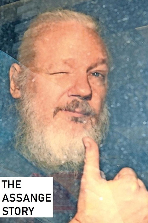 Movie poster for The Assange Story (2020)