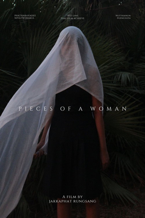 Movie poster for Pieces of a woman (2022)
