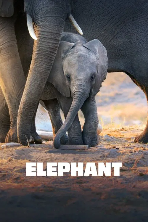 Movie poster for Elephant (2020)