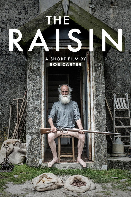 Movie poster for The Raisin (2017)