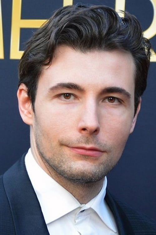 Vincent van Ommen profile