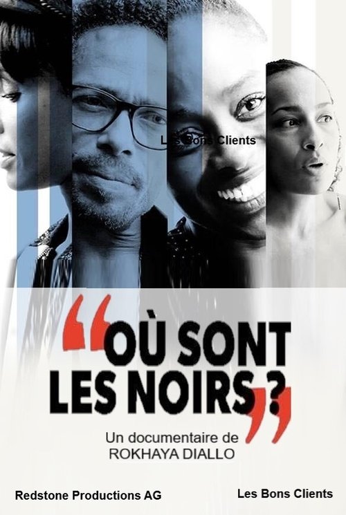 Movie poster for Où sont les noirs ? (2020)
